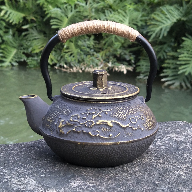 Cast Iron Teapot Japanese Tets - Cast Iron Tetsubin recension och pris